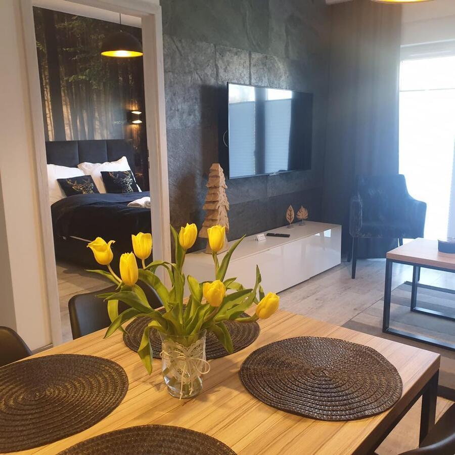 Apartament Izerska Przygoda - 5D Apartamenty Świeradów-Zdrój Buitenkant foto